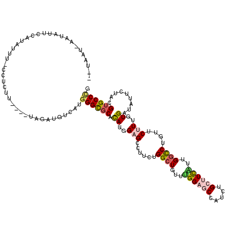 secondary structure