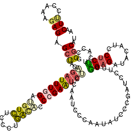 secondary structure