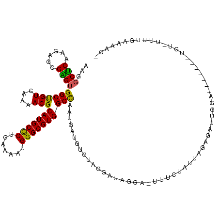 secondary structure