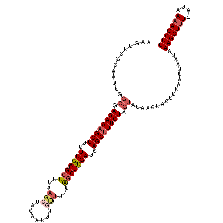 secondary structure