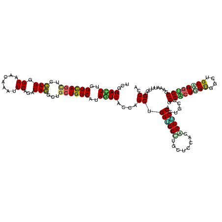 secondary structure