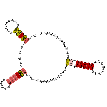 secondary structure