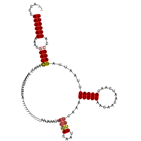 secondary structure