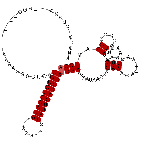 secondary structure