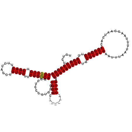 secondary structure