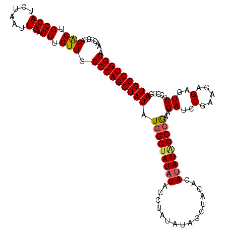 secondary structure