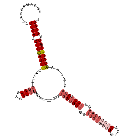 secondary structure