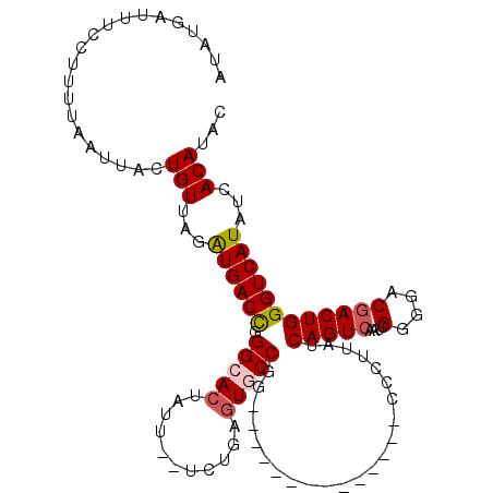 secondary structure