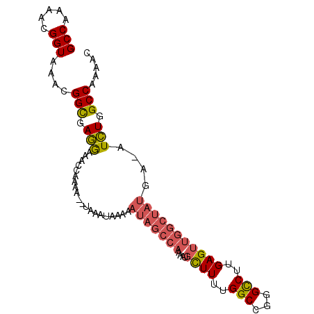 secondary structure