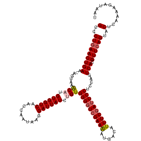 secondary structure
