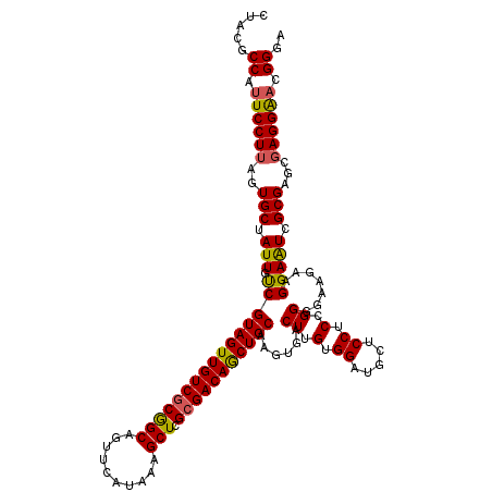 secondary structure
