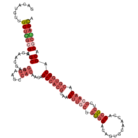 secondary structure