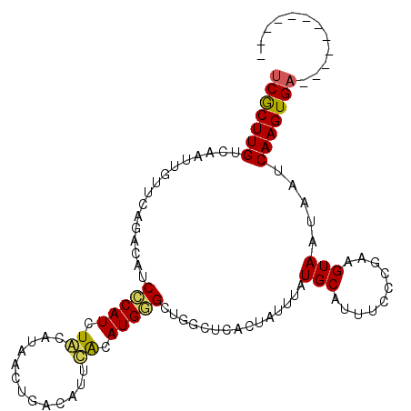 secondary structure