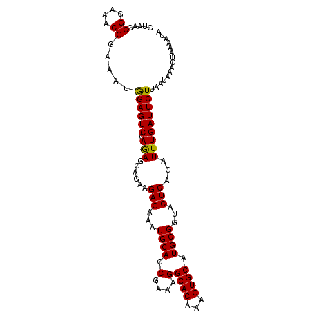 secondary structure