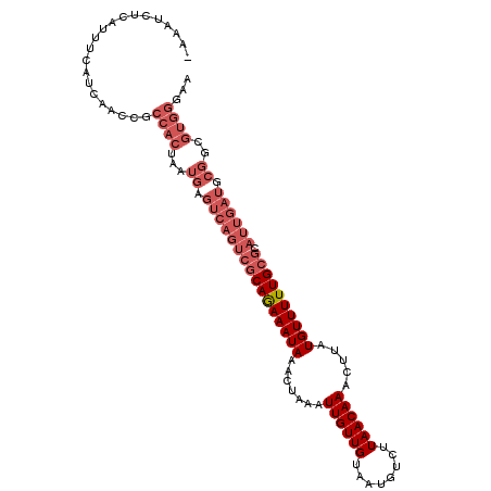 secondary structure