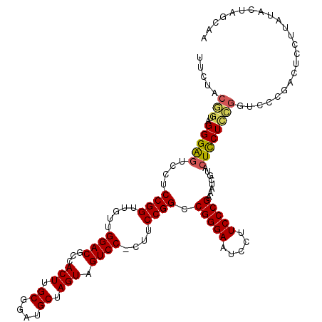 secondary structure