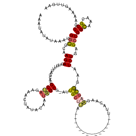 secondary structure