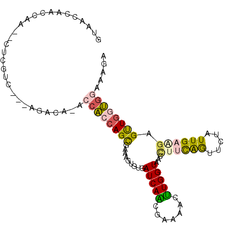 secondary structure