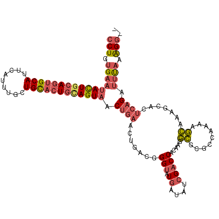 secondary structure