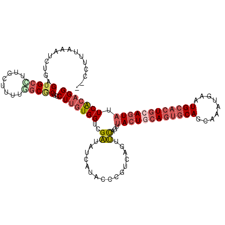 secondary structure