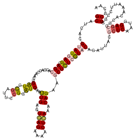 secondary structure