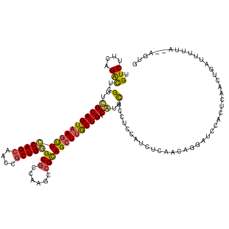 secondary structure