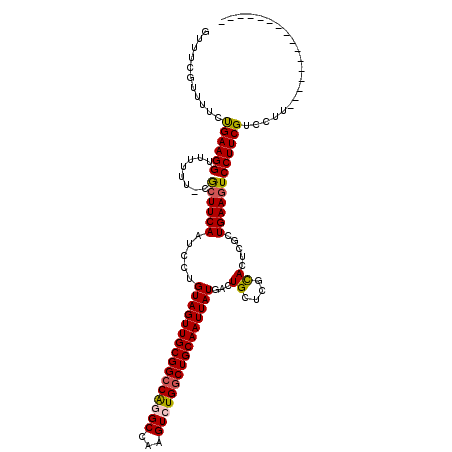 secondary structure