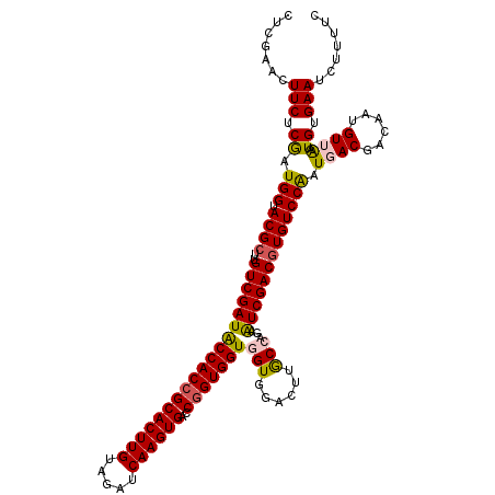 secondary structure