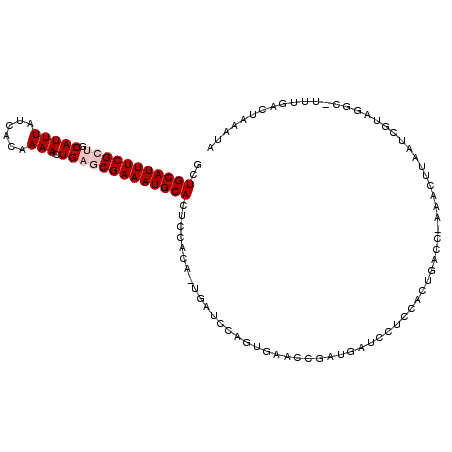 secondary structure