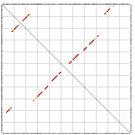 dotplot