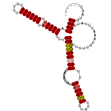 secondary structure