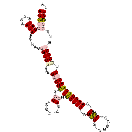 secondary structure