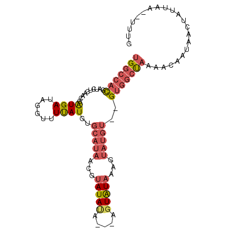 secondary structure