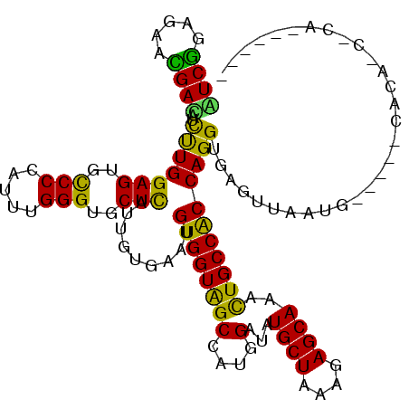 secondary structure