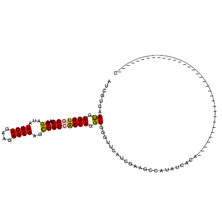 secondary structure