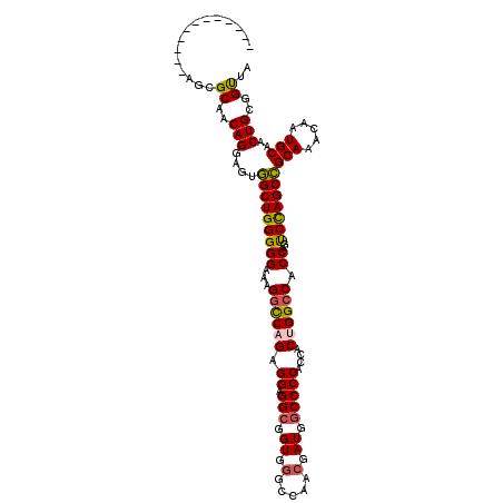 secondary structure