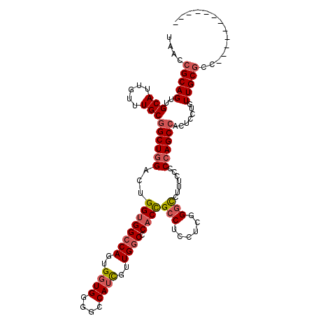 secondary structure