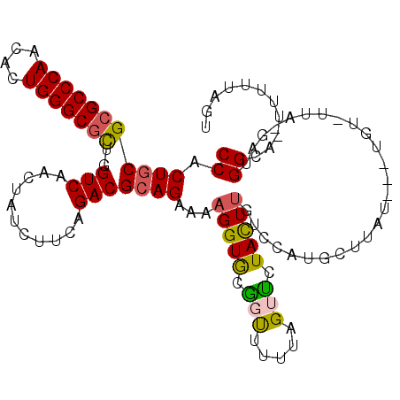secondary structure
