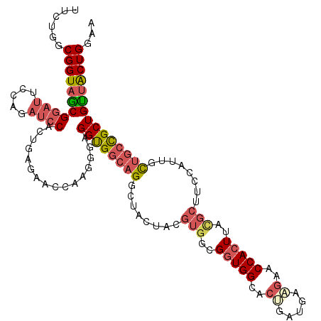 secondary structure