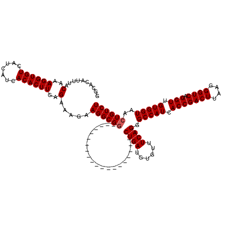 secondary structure