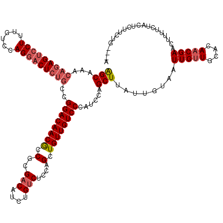 secondary structure
