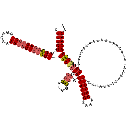 secondary structure