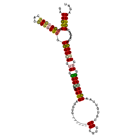 secondary structure
