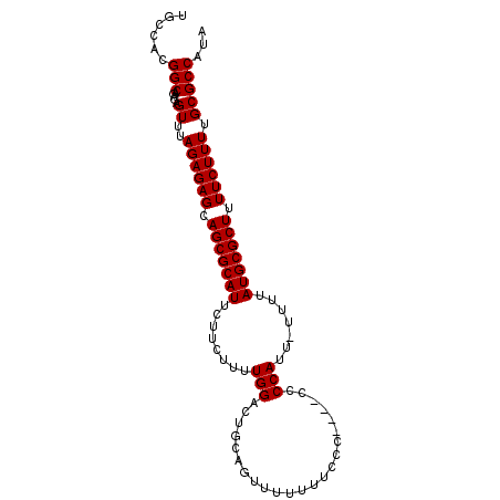 secondary structure