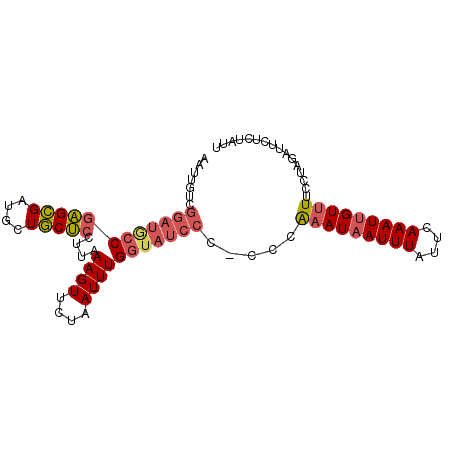 secondary structure