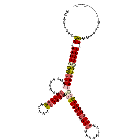 secondary structure