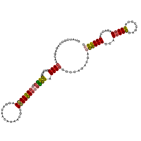 secondary structure