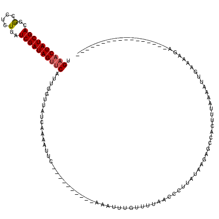 secondary structure