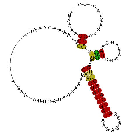 secondary structure