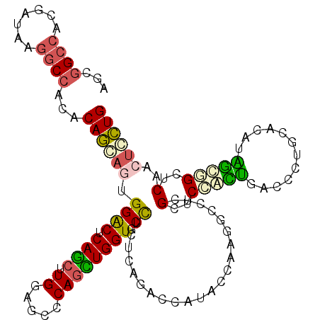 secondary structure